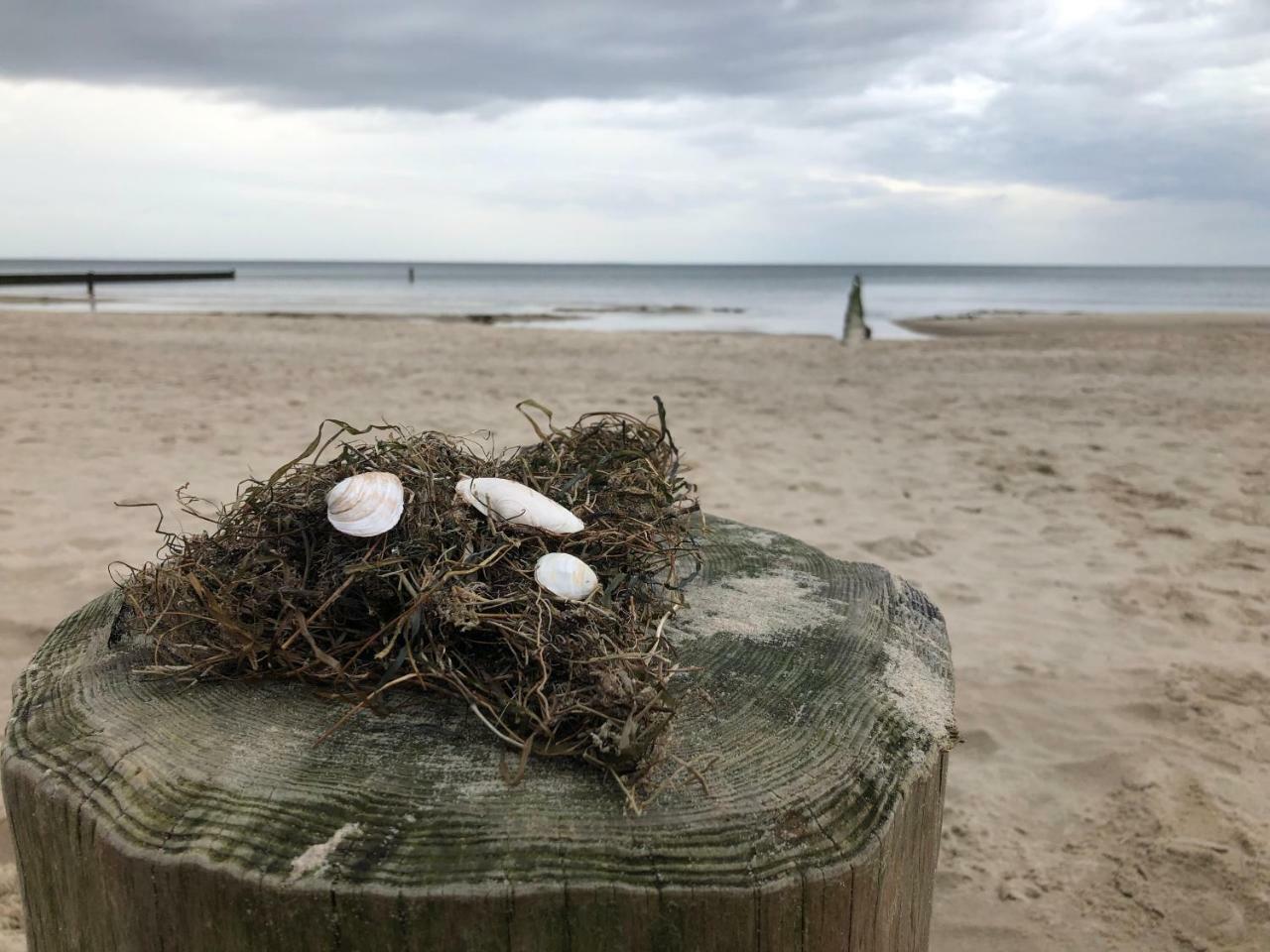 Ferienwohnung Strandnah 젤핀 외부 사진