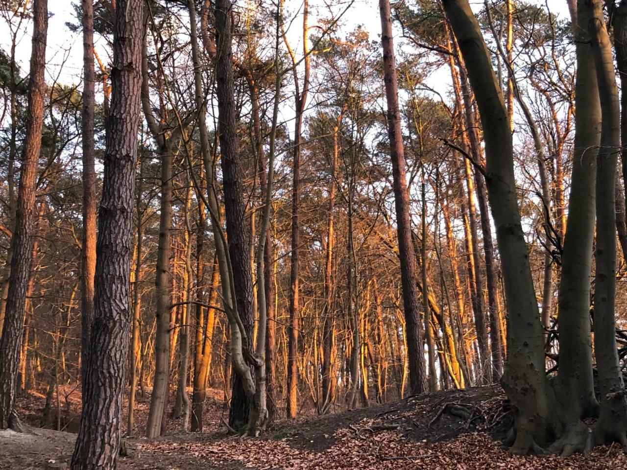 Ferienwohnung Strandnah 젤핀 외부 사진